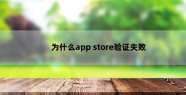 为什么app store验证失败(为什么app store每次都要验证)